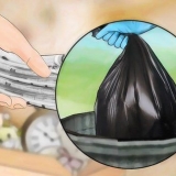 Livre-se dos percevejos naturalmente