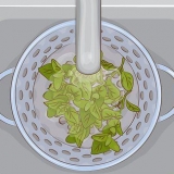 Usando orégano na cozinha