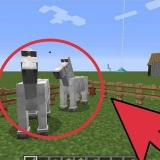Criando cavalos no minecraft