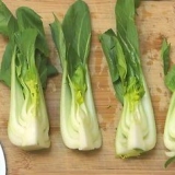 Prepare o pak choi