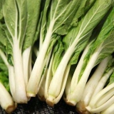 Fatiar pak choi