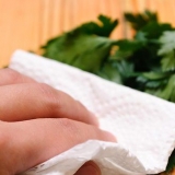 Salsa congelada