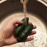 Armazenar fatias de pepino