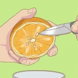 Germinando sementes de laranja