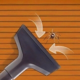 Remova aranhas se você tem fobia de aranha