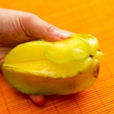Comer frutos de estrela