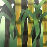 Plantando cana-de-açúcar
