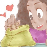 Dicas para cuidar do seu planador do açúcar