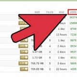Usando torrents