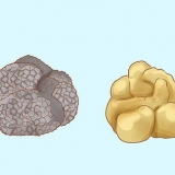 Crescendo trufas