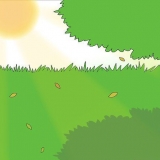 Plantando cebolas