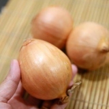 Refogue a cebola
