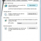 Torne o internet explorer seu navegador padrão