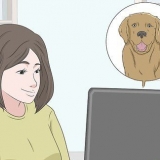 Comprar um cachorro com segurança online