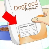 Adicionando fibra à dieta do seu cão