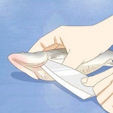 Filetagem de peixe