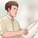 Cuidando do seu chihuahua