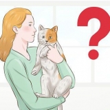 Cuidando do seu animal de estimação