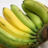 Evitando que as bananas amadureçam muito rapidamente