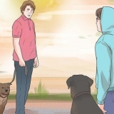 Impedir que um cão ladre para outros cães