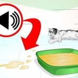 Impedindo que seu gato urine em lugares onde não é permitido