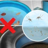 Impedindo que os mosquitos se reproduzam