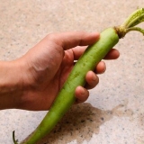 Preparando wasabi