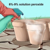 Usando peróxido de hidrogênio no jardim