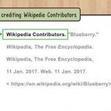 Citando a wikipedia no estilo mla