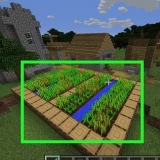 Coletando cenouras no minecraft