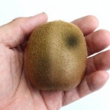 Veja se um kiwi não é mais bom