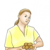 Cultivo de batata doce