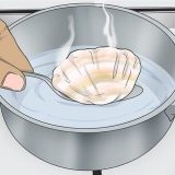 Perfurando um buraco em uma concha sem uma broca
