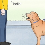 Certifique-se de que os cães não latem para as pessoas