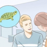 Cuidando de uma tartaruga de orelha vermelha