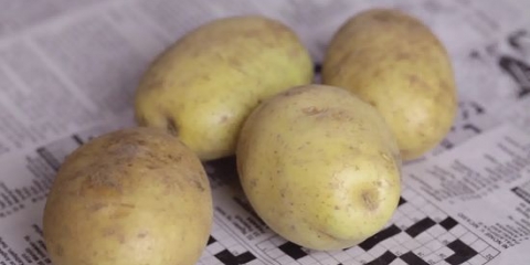 Armazenar batatas