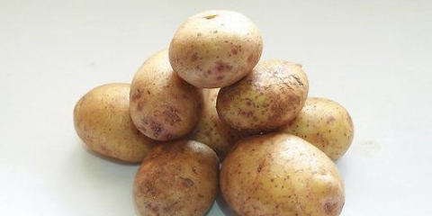 Batatas congeladas