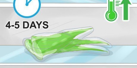 Armazenando folhas de aloe vera
