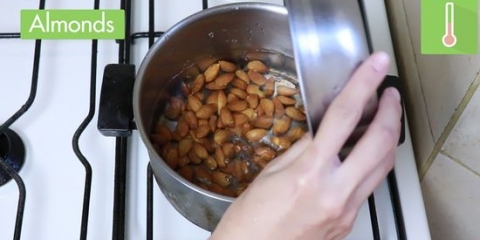 Fazendo farinha de amêndoa ou farinha de amêndoa
