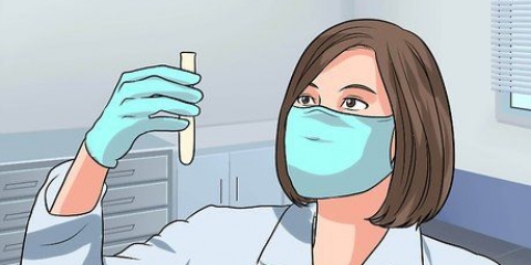 Reduzindo os níveis de andrógenos em mulheres