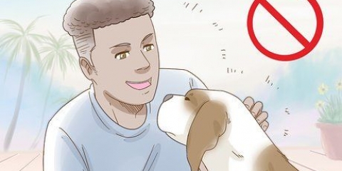 Reduzindo a ansiedade em cães