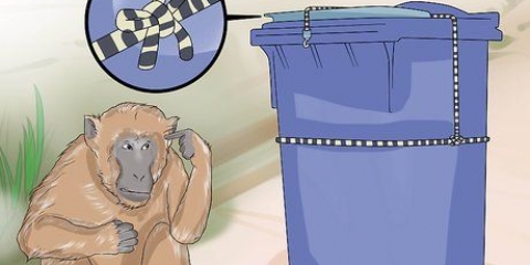 Mantenha os macacos fora das áreas residenciais