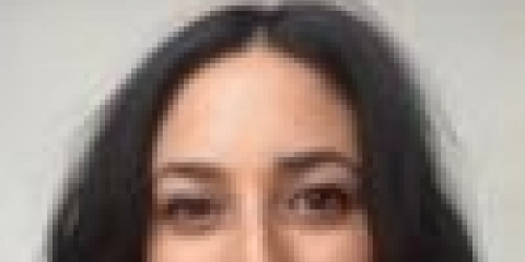 Jejum de maçã
