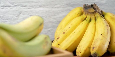 Bananas congeladas