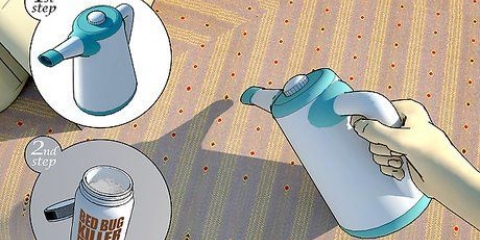 Matando percevejos com vapor