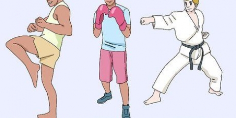 Começando com artes marciais mistas