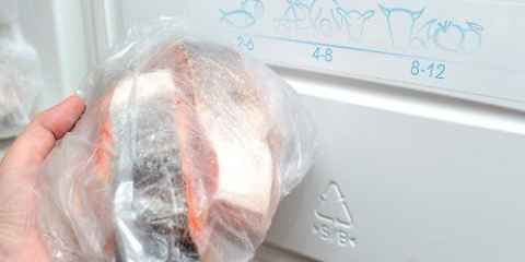 Descongelar salmão congelado