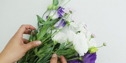 Secagem de flores