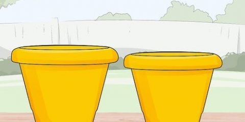 Fazendo vasos de flores de concreto