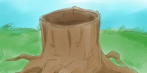 Matar raízes de árvores